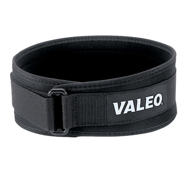 Valeo Performance Low-Profile Back Support - VLP4